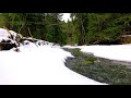 Calming Forest Winter Stream, Relaxing Nature Sounds, Gentle Stream Ambience, (10 Hours) White Noise