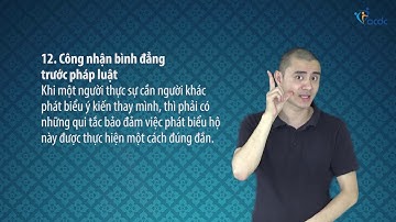 Công ước quốc tế về Quyền của người khuyết tật - Điều 12.4, Công nhận bình đẳng trước pháp luật