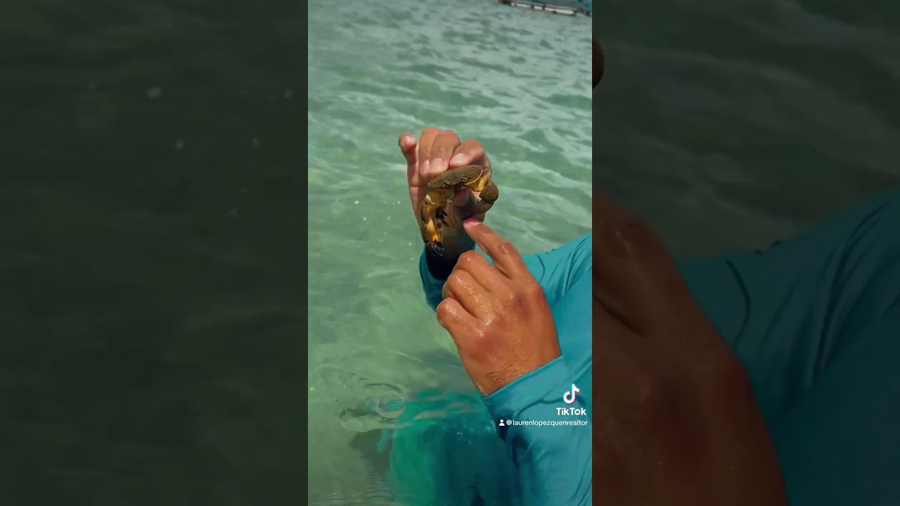 Come see what Florida has to offer! 