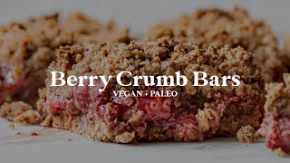 Berry Crumb Bars // vegan, gluten-free, paleo option!