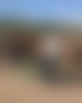 kuda nya di colmek 😂