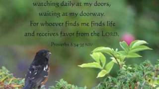 Proverbs 8 (with text - press on more info.)