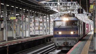 JR貨物 EF510-513号機 青釜 北斗星色 貨物列車 大津京駅通過 20230219