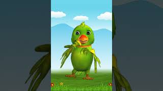 Talking Perry all animations