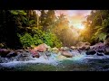 Deep Sleep Drone, River Sounds, Insomnia Relief, Sleep Music, Calm 🌊 Sleep Deeply All Night Long