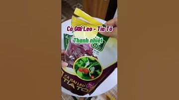 Trà túi lọc cà gai leo tía tô mát gan, giải độc, hạ men gan, axit uric