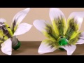Como Hacer una Flor de Lis en Botella Plastica- HogarTv por Juan Gonzalo Angel