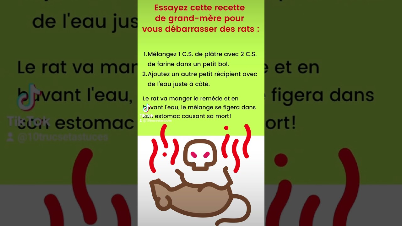 Recettes de grand-mère pour tuer les rats - Mesnuisibles