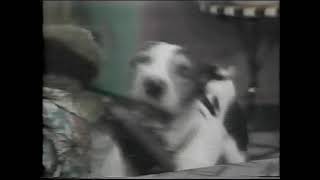 Agros Excited Dog TV Series Blooper (1990) @thegeoffrovhsarchive1306