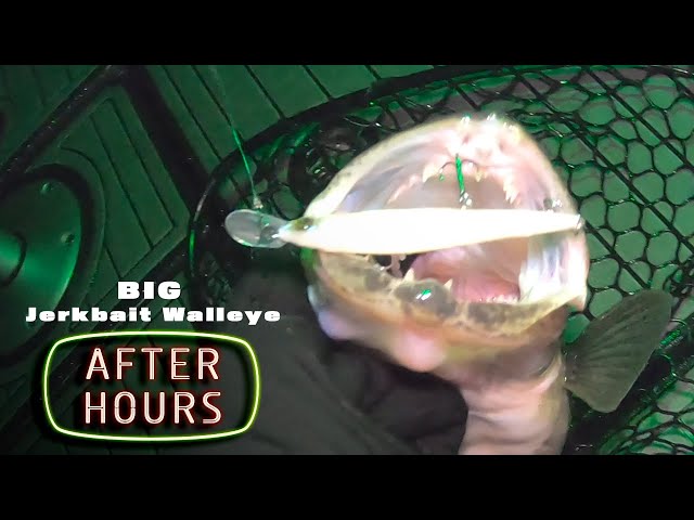 Teasing Big Walleye With Jerkbaits #walleyefishing #jerkbaits #nightfishing  