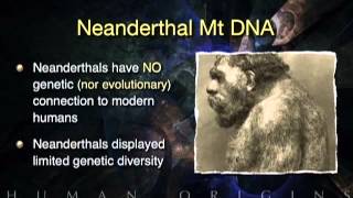 The Great Debate: Creation, Evolution, or Both?