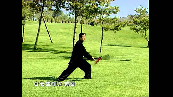 Chen Taiji Guan Dao - Kwon Dao - Chenzheng Lei