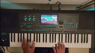 Yamaha Genos 2 vs  Medeli AKX-10