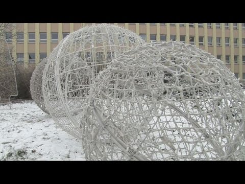 Video: Dekor Dverí (88 Fotografií): Návrh Interiérových Modelov V Byte, Dekorácia, Výzdoba A Výzdoba štruktúr Vlastnými Rukami