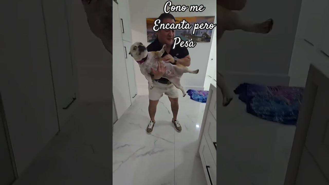 💙💙💙💙💙💕💕💜💜📸📸🐕🐕🐕 