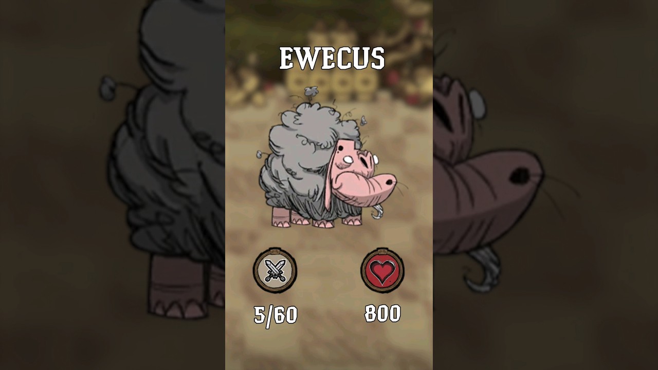 Jak se to kituje - Ewecus | 