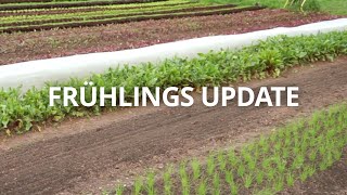 Frühlings Update Orfeas Fischer