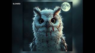 Smesharik455 Igral Funk Squid Game, Slowed