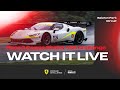 Ferrari Challenge Europe - Balaton, Race 2 - Coppa Shell &amp; 488