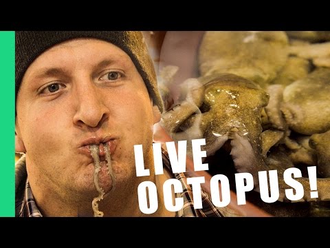 Video: Is It Possible To Eat A Live Octopus
