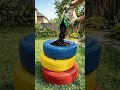 você nunca mais vai jogar pneu de carro velho no lixo
