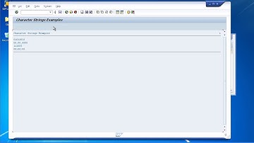 SAP ABAP Date and Time Fields Date Fields  Quantity and Currency in Calculations
