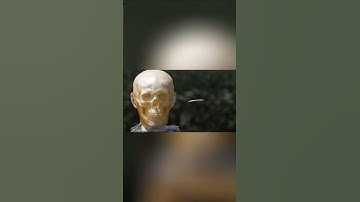 50 Cal Impact Test! 😨