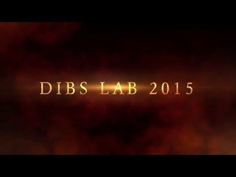 DIBS LAB 2015