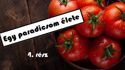 Egy paradicsom élete - 4. rész: Kinn a kertben