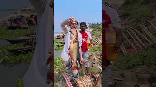 Fishing Techniques for Big Fish | Amazing River Fishing Ideas 33 #fishing #fishinglife #fishvideos