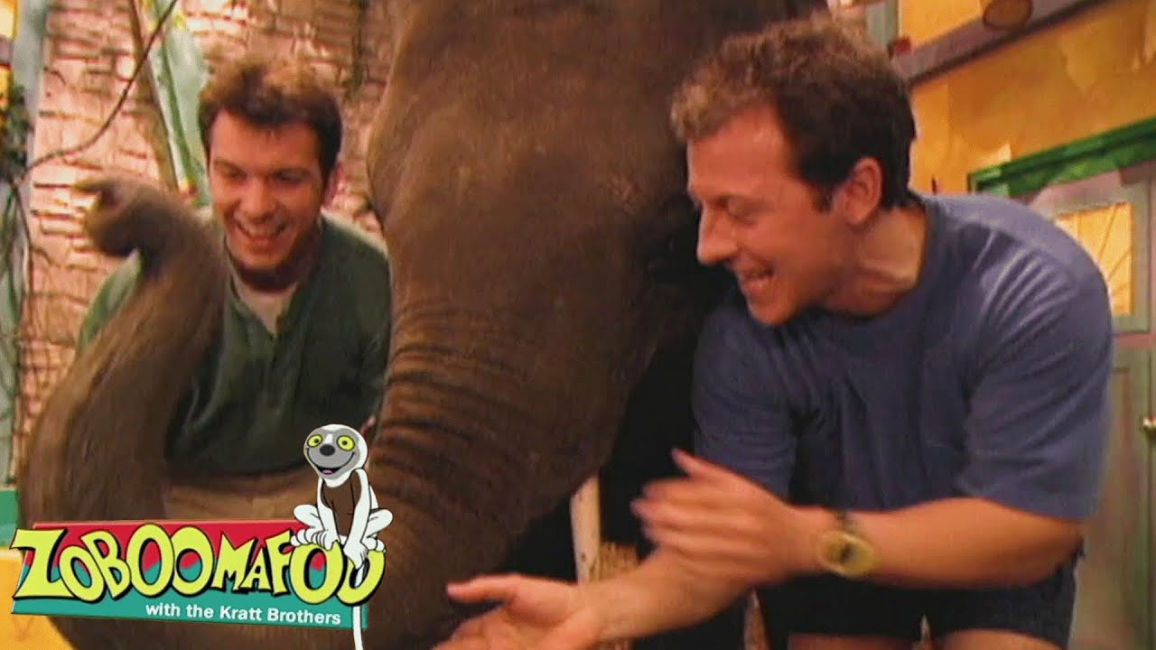O Nariz Sabe | Zoboomafoo Português | Episódios Completos para Crianças