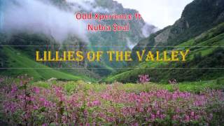 Odd Xperience ft Nubia Soul   Lillies Of The Valley