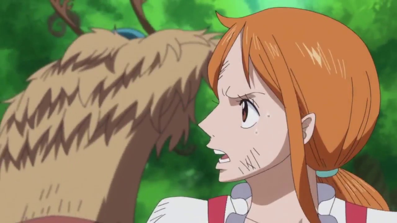 Nami & Whole Cake Island One Piece YouTube