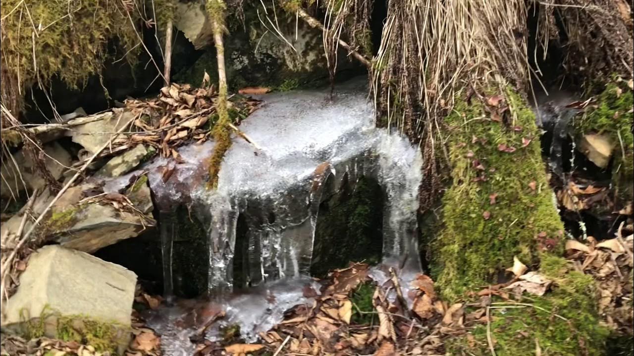 Appalachian Trail Day 24 Tricorner Knob Shelter to Davenport Gap YouTube
