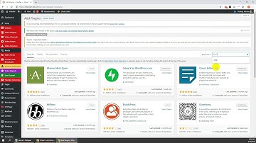AMP Settings - VidoRev Video WordPress Theme