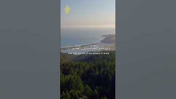 سورة الفلق كاملة بصوت الشيخ ياسر الدوسري  #القران #اكسبلور