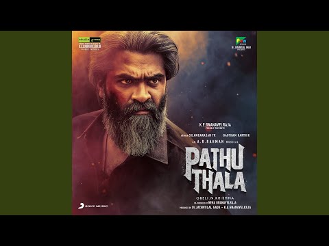 Raawadi Song Lyrics on YouTube