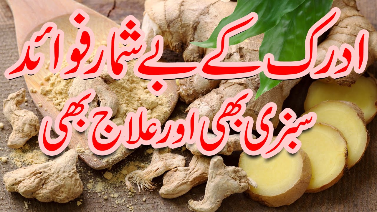 Adrak Ke Fayde Health Benefits of Ginger In Urdu ادرک کے فائدے
