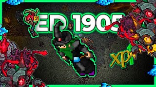 ED 1905 Hunt x4 Gloom Pillars 26.1kkh Raw + 8.1kk Profit - Tibia Hunt [14.12] #tibia #tibiahunt