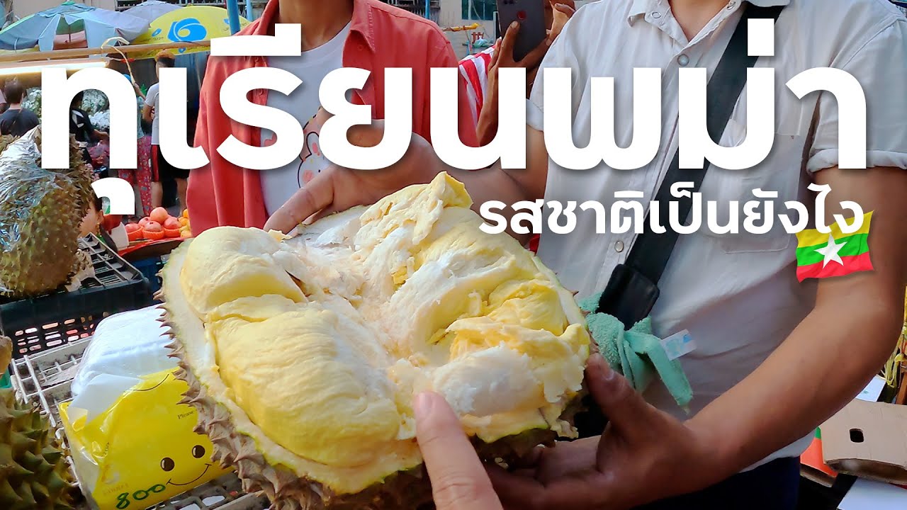 ทุเรียนเมืองย่างกุ้ง เป็นยังไง ที่พม่า durian in Myanmar 🇲🇲 - YouTube
