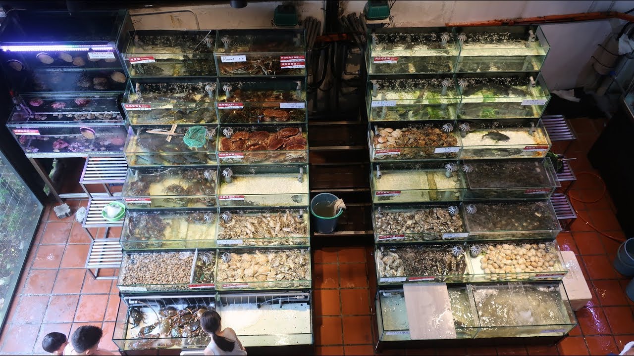 Gathering at Fish Market Cheras 2712019 YouTube