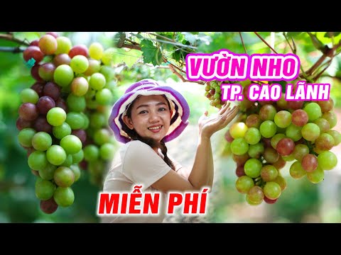 Video: Tháp Cho Thành Phố Vườn