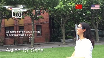 Drone & Wo: Cultural Influences on Human-Drone Interaction Techniques