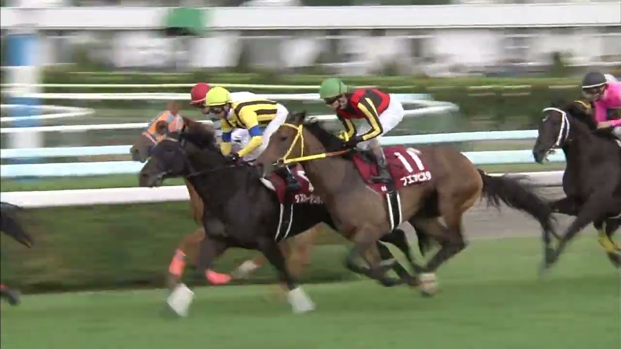 セイウンスカイ　札幌記念 GⅡ札幌記念｜タイツ・競馬ライター【無料予想と馬のお話】