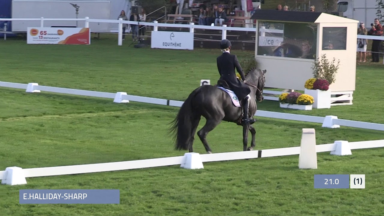 Mondial du Lion 2018 Dressage 6yo Liz Halliday-Sharp - COOLEY MOONSHINE