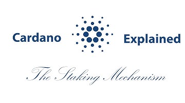 Staking, Rewards, Pledge and Fees Explained | How to Choose the Best Cardano Stake Pool?