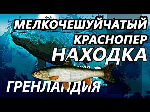 морская рыбалка находка