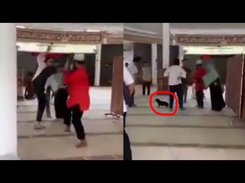 Video Viral Wanita Ngamuk Sambil Bawa Anjing Masuk Dalam Mesjid