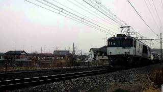 1月15日　8592ﾚ　EF64-1036
