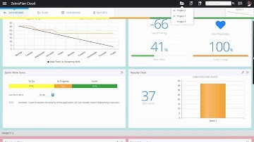 ZebraPlan: Multiple Project View Tutorial Video